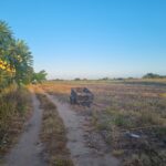 SÍTIO DE 3,5 ALQUEIRES EM CAMPO NOVO