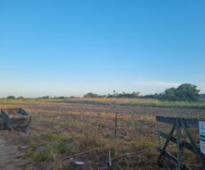 SÍTIO DE 3,5 ALQUEIRES EM CAMPO NOVO