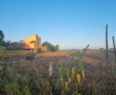 SÍTIO DE 3,5 ALQUEIRES EM CAMPO NOVO