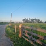 SÍTIO DE 5 ALQUEIRES EM CAMPO NOVO