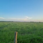 SÍTIO DE 5 ALQUEIRES EM CAMPO NOVO