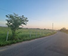 SÍTIO DE 5 ALQUEIRES EM CAMPO NOVO