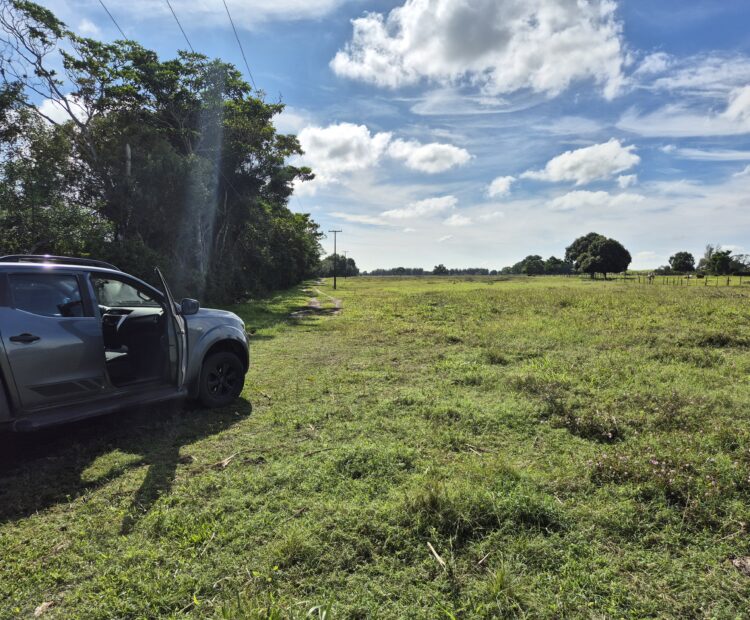 SÍTIO 4,58 ALQUEIRES EM SÃO MARTINHO