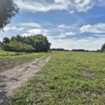 SÍTIO 4,58 ALQUEIRES EM SÃO MARTINHO