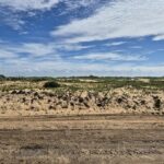 PROPRIEDADE DE 12 ALQUEIRES EM FAROLZINHO SANTA MARIA .