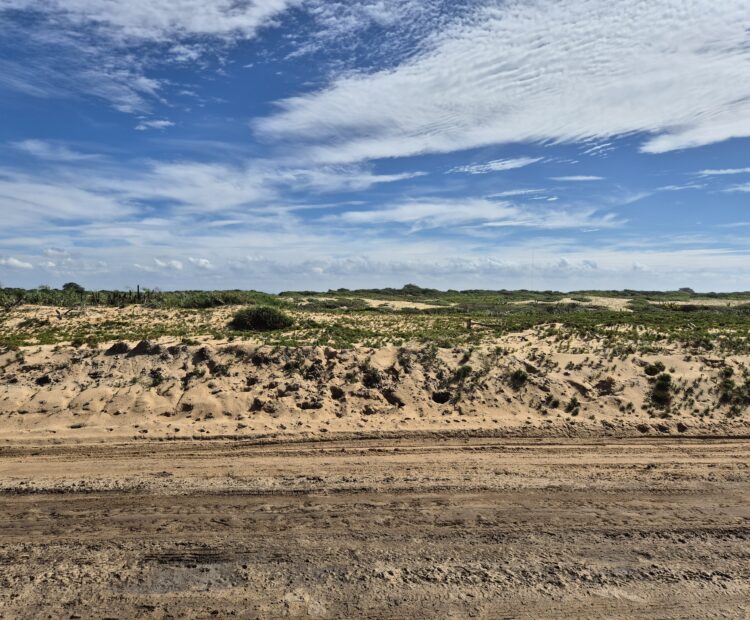 PROPRIEDADE DE 12 ALQUEIRES EM FAROLZINHO SANTA MARIA .