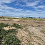 PROPRIEDADE DE 12 ALQUEIRES EM FAROLZINHO SANTA MARIA .