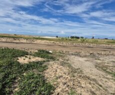 PROPRIEDADE DE 12 ALQUEIRES EM FAROLZINHO SANTA MARIA .