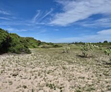 PROPRIEDADE DE 12 ALQUEIRES EM FAROLZINHO SANTA MARIA .