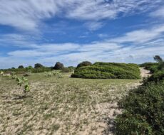 PROPRIEDADE DE 12 ALQUEIRES EM FAROLZINHO SANTA MARIA .
