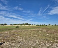 PROPRIEDADE DE 12 ALQUEIRES EM FAROLZINHO SANTA MARIA .