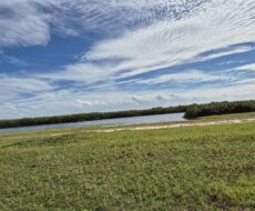 PROPRIEDADE DE 12 ALQUEIRES EM FAROLZINHO SANTA MARIA .