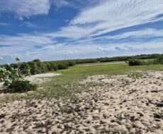 PROPRIEDADE DE 12 ALQUEIRES EM FAROLZINHO SANTA MARIA .