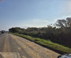 EXCELENTES ÁREAS NA BR 101