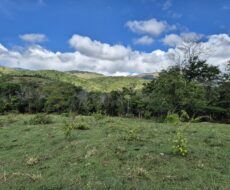 FAZENDA DE 310 ALQUEIRES NO MUNICÍPIO DE TANGUÁ