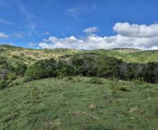 FAZENDA DE 310 ALQUEIRES NO MUNICÍPIO DE TANGUÁ