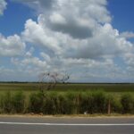 ÁREA COMERCIAL DE 580.800,00 M² NA ESTRADA DE RUA NOVA - PORTO DO AÇU - SÃO JOÃO DA BARRA