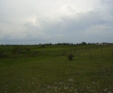 ÁREA COMERCIAL DE 580.800,00 M² NA ESTRADA DE RUA NOVA - PORTO DO AÇU - SÃO JOÃO DA BARRA