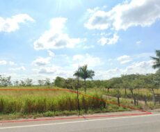 ÁREA COMERCIAL DE 22.187,00 M² NA ESTRADA DOS CERAMISTAS