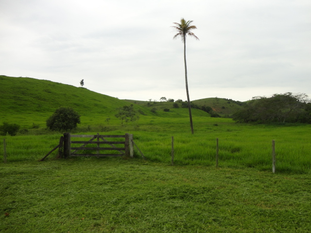 FAZENDA DE 378,00 ALQUEIRES