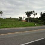 FAZENDA DE 378,00 ALQUEIRES