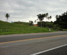 FAZENDA DE 378,00 ALQUEIRES