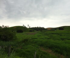 FAZENDA DE 378,00 ALQUEIRES