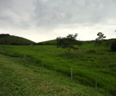 FAZENDA DE 378,00 ALQUEIRES