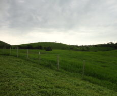 FAZENDA DE 378,00 ALQUEIRES