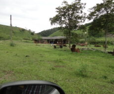 FAZENDA DE 378,00 ALQUEIRES