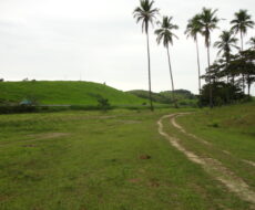 FAZENDA DE 378,00 ALQUEIRES