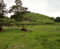FAZENDA DE 378,00 ALQUEIRES