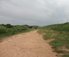 FAZENDA DE 378,00 ALQUEIRES