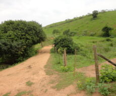 FAZENDA DE 378,00 ALQUEIRES