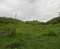 FAZENDA DE 378,00 ALQUEIRES