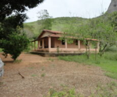 FAZENDA DE 378,00 ALQUEIRES