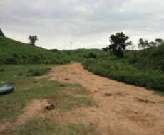 FAZENDA DE 378,00 ALQUEIRES