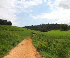 FAZENDA DE 378,00 ALQUEIRES