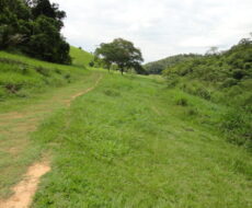 FAZENDA DE 378,00 ALQUEIRES