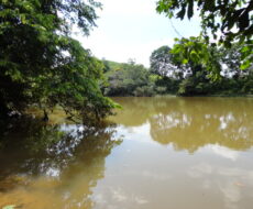 FAZENDA DE 378,00 ALQUEIRES