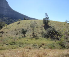 FAZENDA DE 378,00 ALQUEIRES