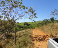 FAZENDA DE 378,00 ALQUEIRES