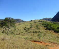 FAZENDA DE 378,00 ALQUEIRES