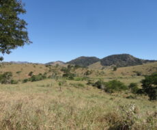 FAZENDA DE 378,00 ALQUEIRES