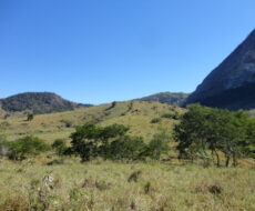 FAZENDA DE 378,00 ALQUEIRES