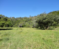 FAZENDA DE 378,00 ALQUEIRES