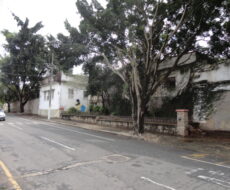 ÁREA DE 7.165,00 M² NA RUA CONSELHEIRO THOMÁS COELHO