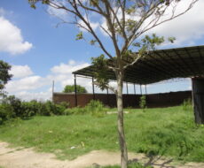 GALPÃO DE 800 M² NA VILA DA RAINHA (AVENIDA I)