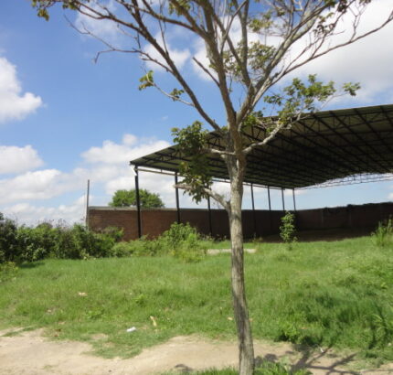 GALPÃO DE 800 M² NA VILA DA RAINHA (AVENIDA I)