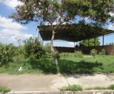 GALPÃO DE 800 M² NA VILA DA RAINHA (AVENIDA I)